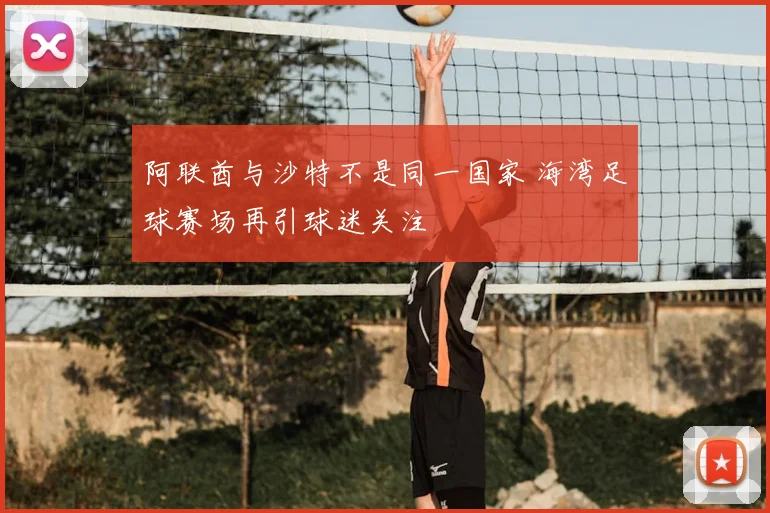 阿联酋与沙特不是同一国家 海湾足球赛场再引球迷关注