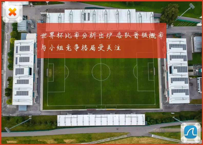 世界杯比率分析出炉 各队晋级概率与小组竞争格局受关注