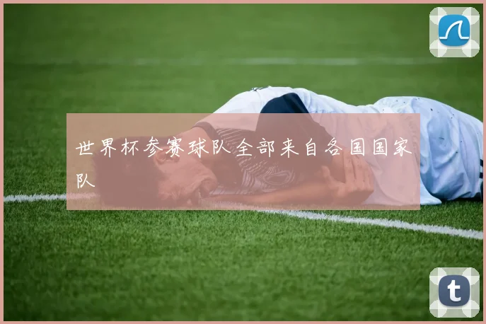 世界杯参赛球队全部来自各国国家队