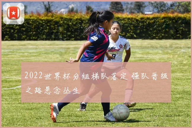2022世界杯分组梯队落定 强队晋级之路悬念丛生