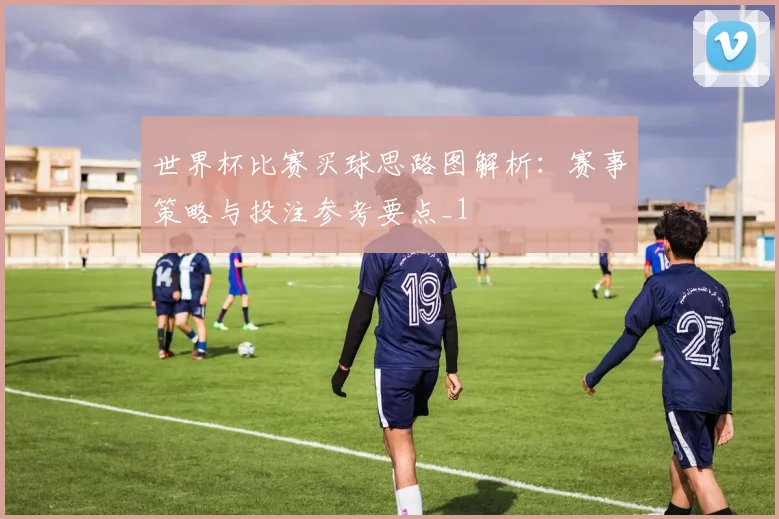 世界杯比赛买球思路图解析：赛事策略与投注参考要点_1