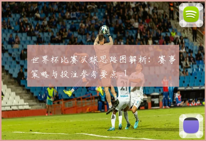 世界杯比赛买球思路图解析：赛事策略与投注参考要点_1