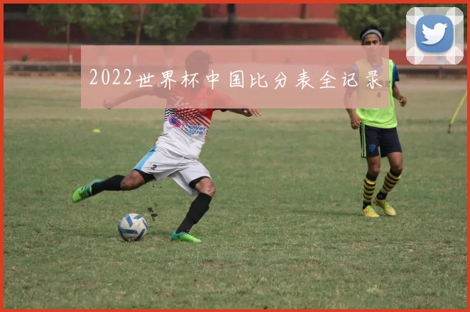 2022世界杯中国比分表全记录