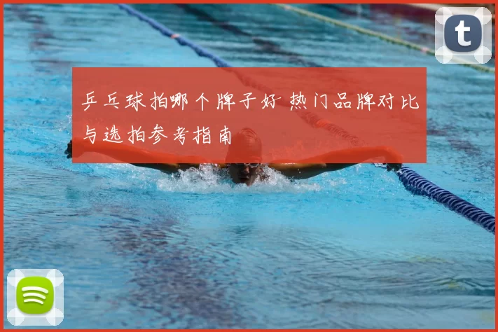 乒乓球拍哪个牌子好 热门品牌对比与选拍参考指南