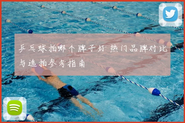 乒乓球拍哪个牌子好 热门品牌对比与选拍参考指南