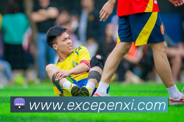 mksport体育官网入口发展历程