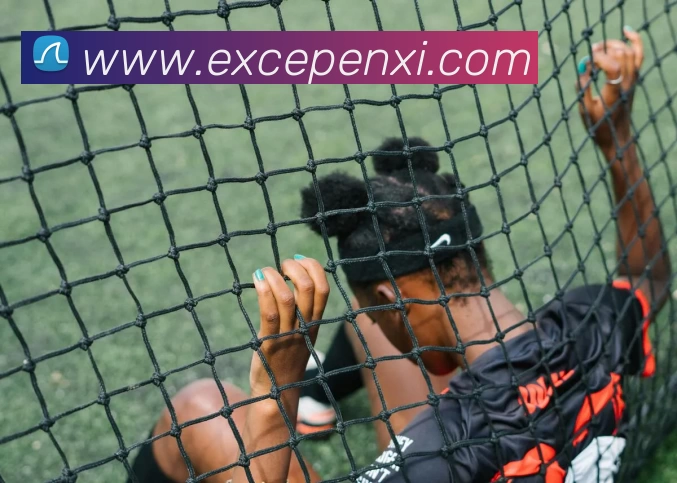 完美体育(中国)官方网站 - 登录入口服务体系